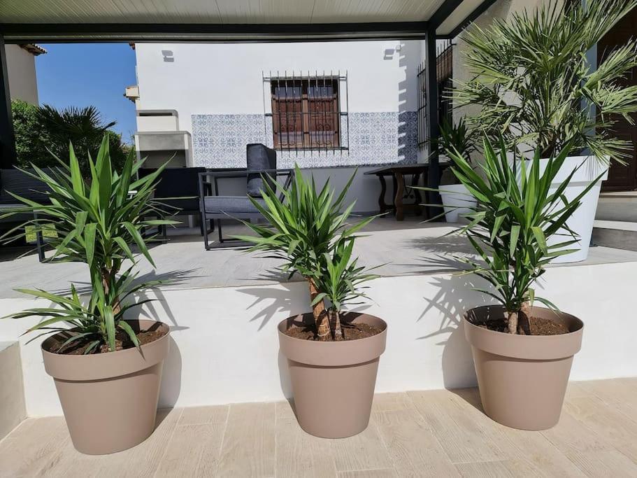 Villa On The Beach Playa Flamenca 오리후엘라 외부 사진